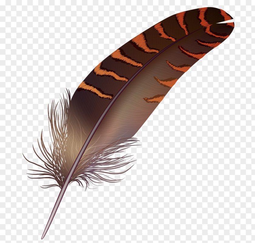 Hand-painted Feathers Bird Feather Quill Paint PNG