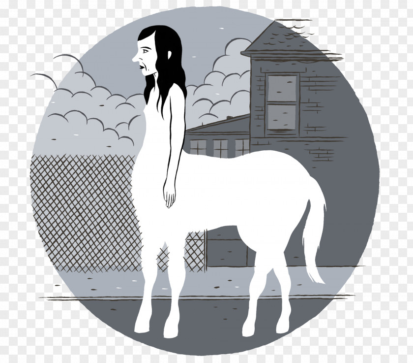 Mustang Comics Blog Pony Author PNG
