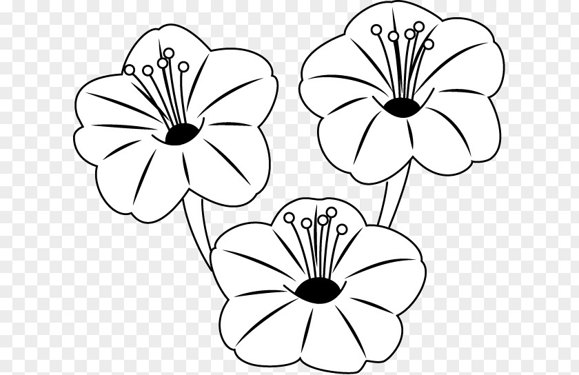 Summer Flower Floral Design Drawing Cut Flowers /m/02csf PNG