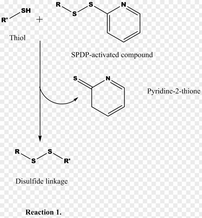 Thiol Amine Cross-link Pyridine Amino Acid PNG