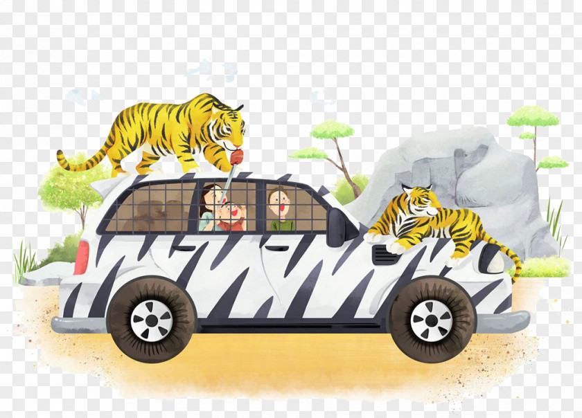Tigers And Cars Tiger Cartoon Illustration PNG