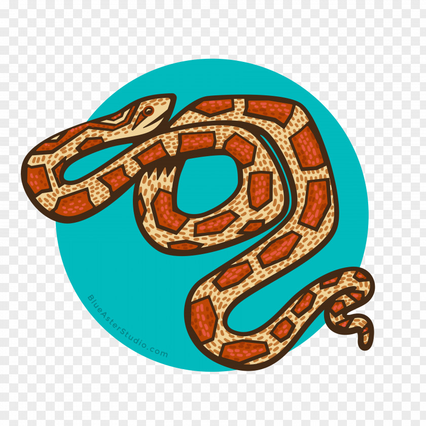 Tshirt Boa Constrictor Snakes T-shirt Okeetee Corn Snake Reptile PNG