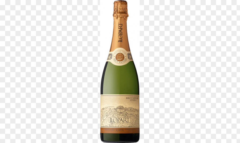 Champagne Cava DO Macabeo Penedès Wine PNG