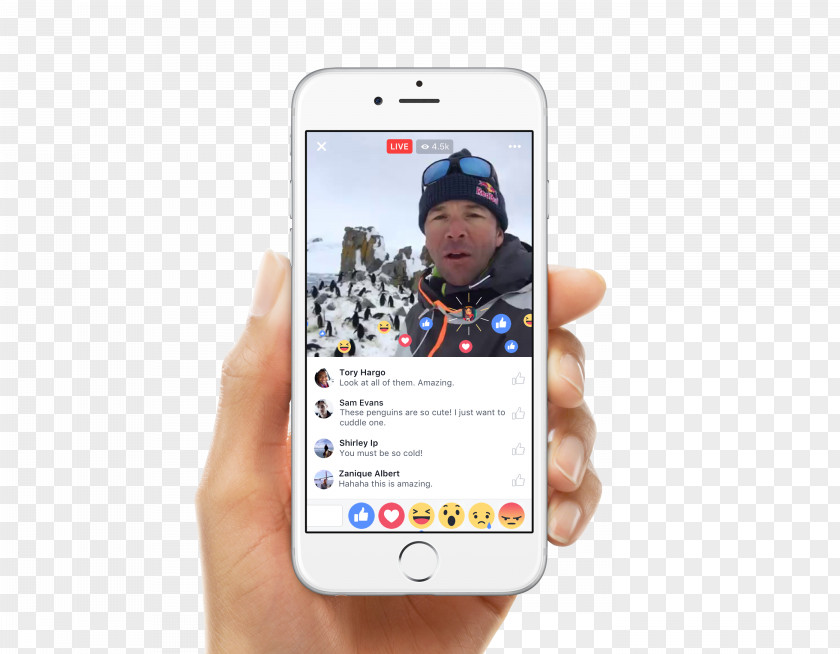 Facebook Live Social Media Marketing Streaming Broadcasting PNG