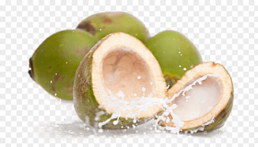 Fresh Coconut Water Juice Sports & Energy Drinks Smoothie PNG