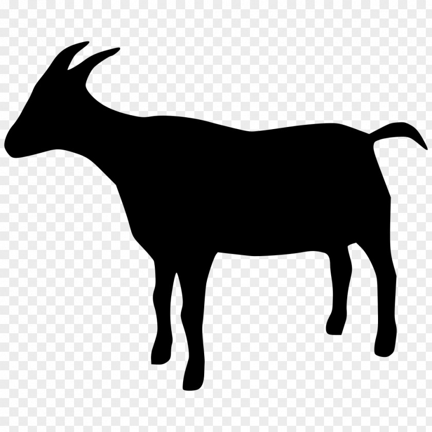 Goat Commercial Usage Clip Art Sheep PNG