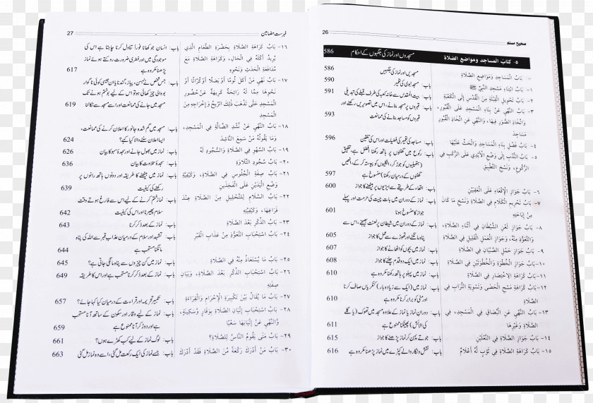 Hadith Paper Document Material Line Font PNG