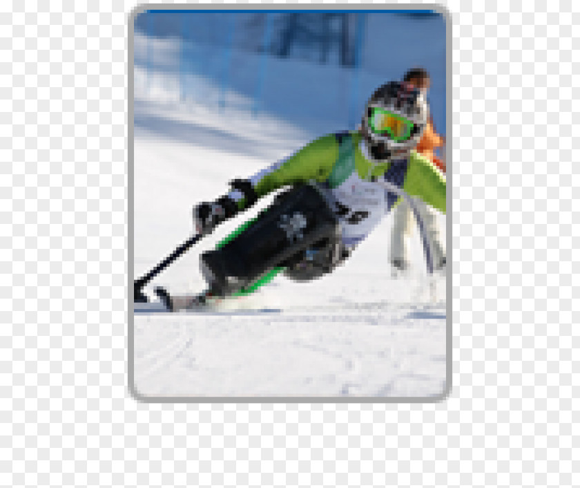 Results Of The 2012 Rio Carnival Ski Bindings Winter Sport Poles PNG