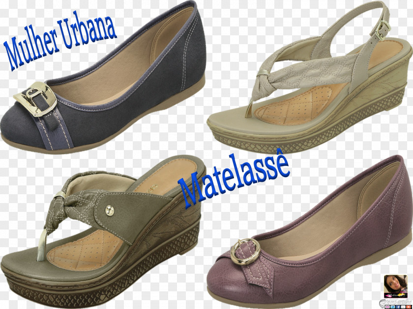 Sandal Ballet Shoe Flat Calçados Azaleia S/A PNG