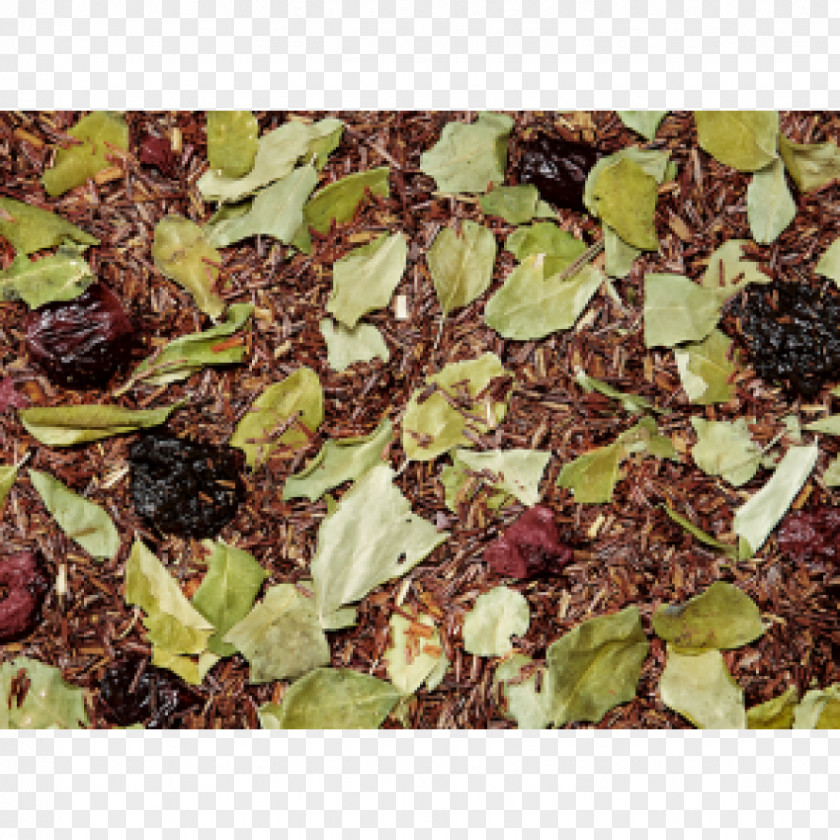 Tea Assam Green Oolong Herb PNG