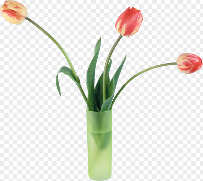 Vase Tulip Flower Bouquet PNG