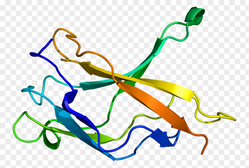 Federation Of American Societies For Experimental NFKB1 NF-κB HMGA2 Protein RELA PNG