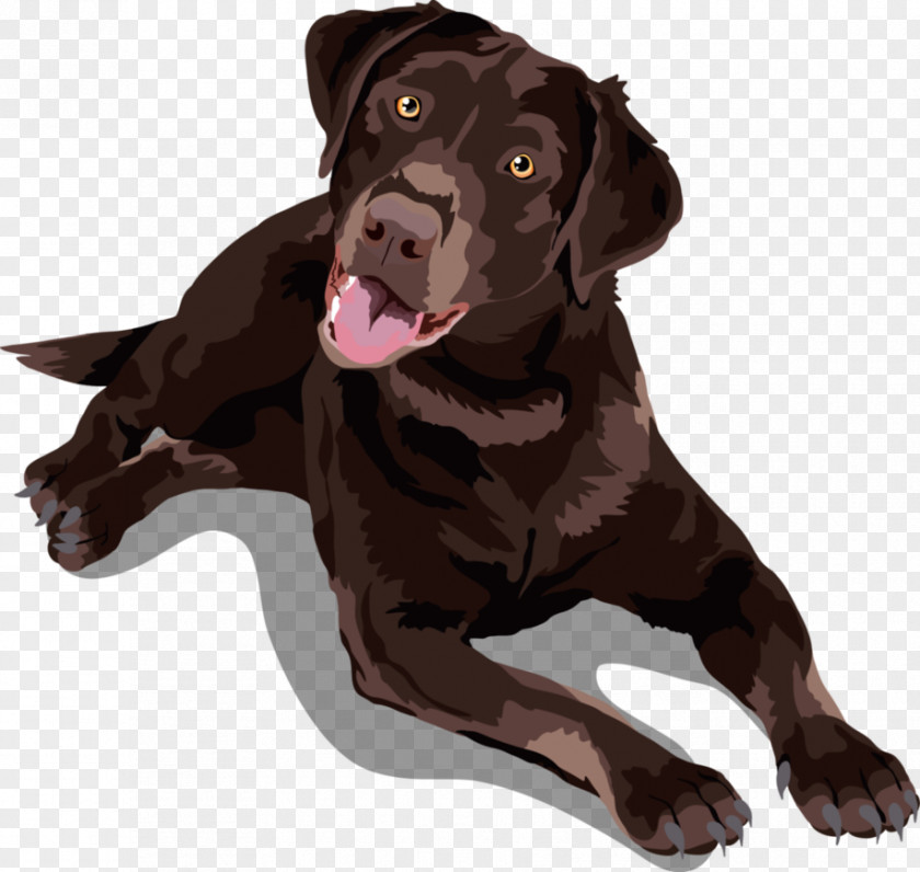 Lab Vector Labrador Retriever Chinese Crested Dog Puppy Breed German Shepherd PNG