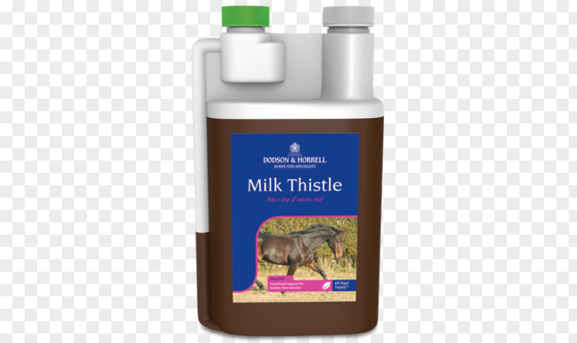 Milk Thistle Horse Dietary Supplement Herb Health PNG