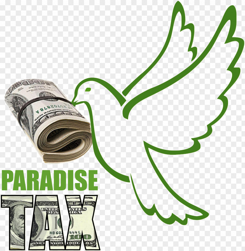 Tax Columbidae Doves As Symbols Peace Clip Art PNG
