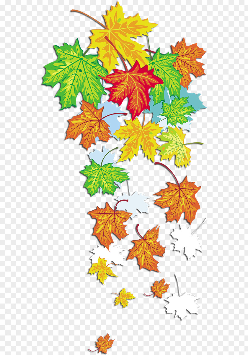 Autumn Clip Art Maple Leaf PNG