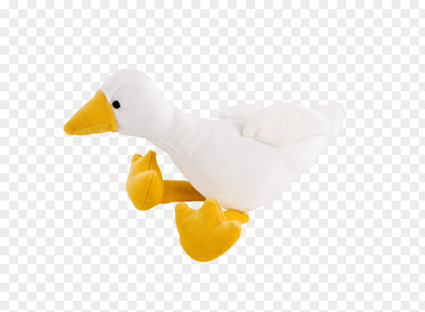 Duck Beak PNG