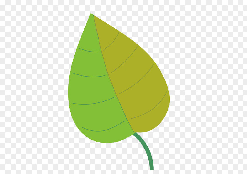 Light Bamboo Leaves Leaf PNG