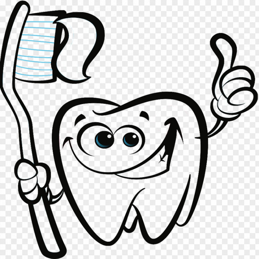 Teeth Drawing Human Tooth Clip Art PNG