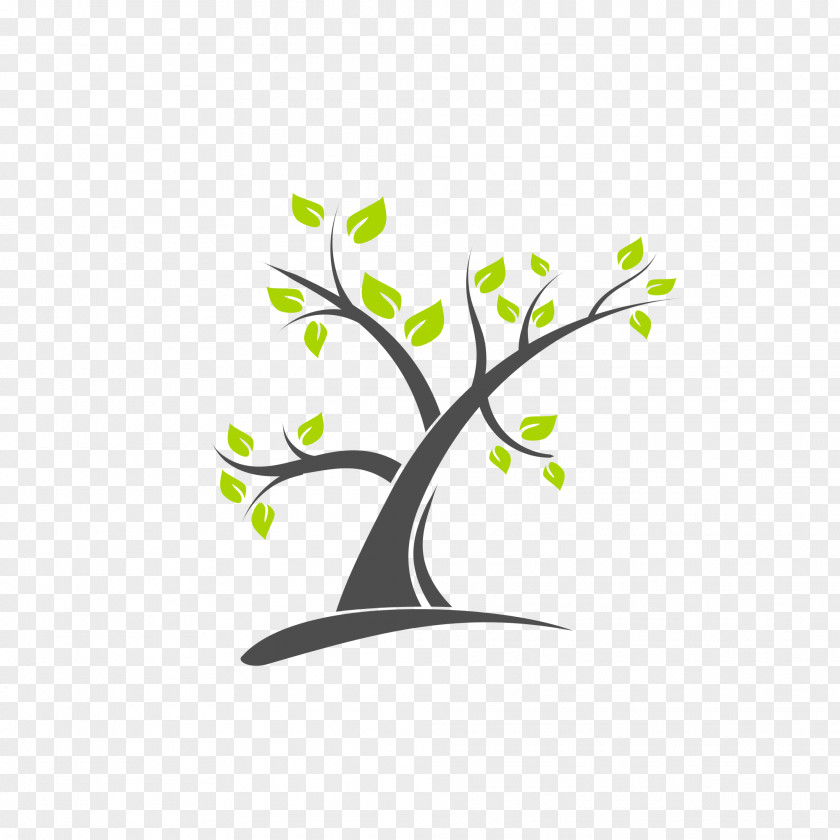 Tree Vector Branch Logo PNG