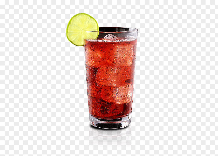 Alcoholic Drink Cocktail Garnish Punch Brandy Sea Breeze PNG