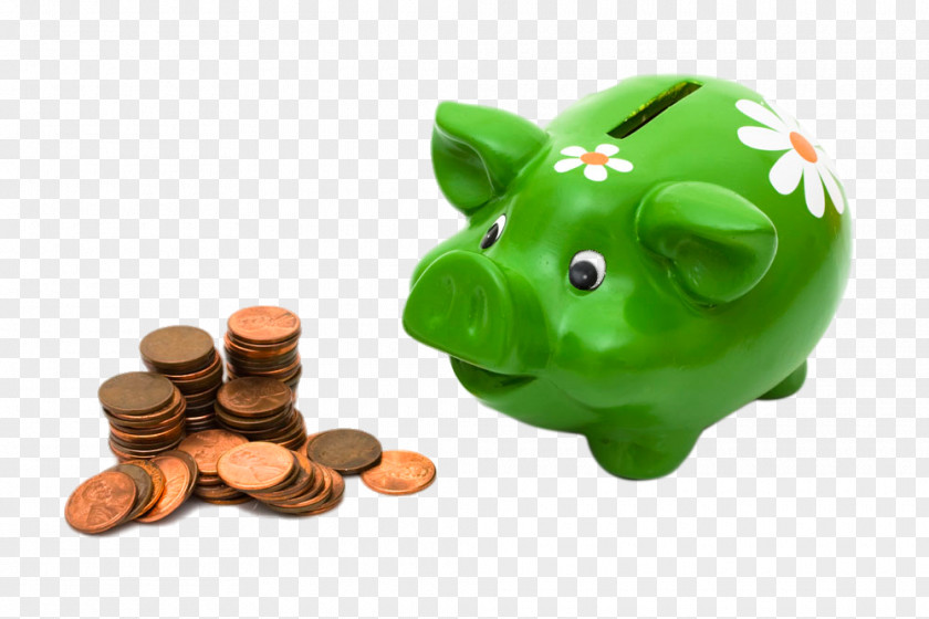 Green Piggy Bank Sberbank Of Russia Credit Money PNG