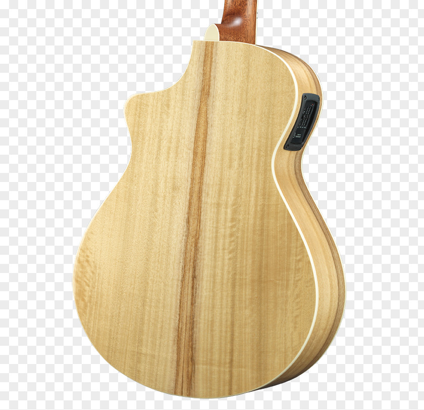 Guitar Acoustic-electric Twelve-string Steel-string Acoustic Tiple PNG