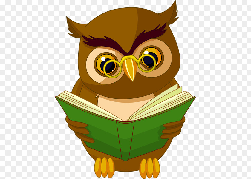 Owl Book Reading Clip Art PNG