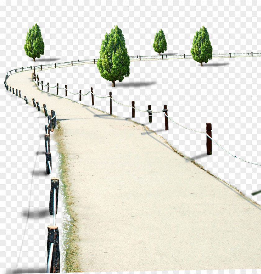 Roads And Trees Tree Computer File PNG