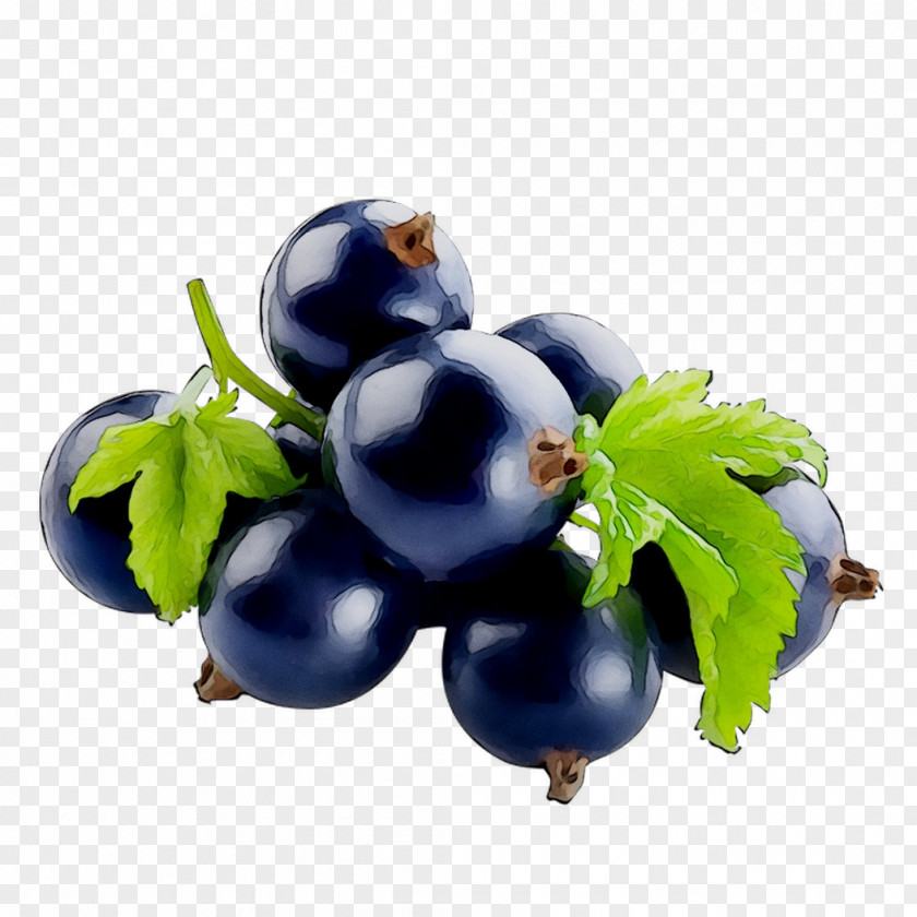 Blackcurrant Bilberry Blueberry Food STXEA NR EUR PNG