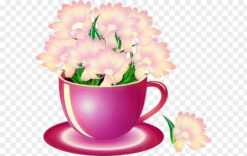 Carnation Pink Family Floral Flower Background PNG