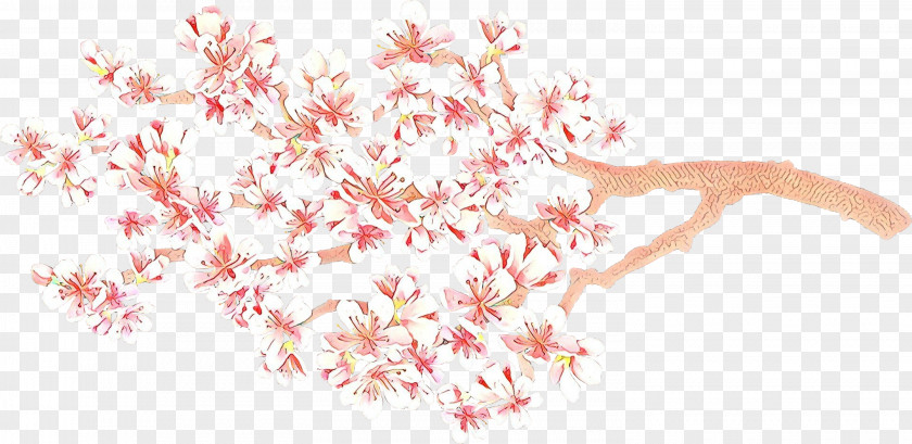 Cherry Blossom Flower PNG