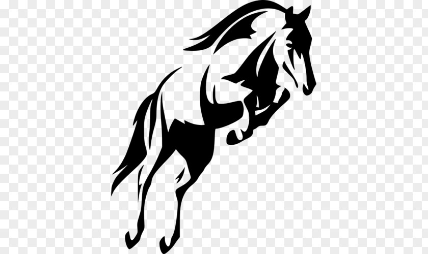 Horse Show Jumping Stallion Clip Art PNG