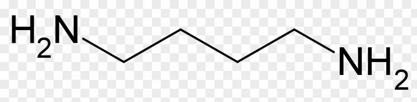 M-Phenylenediamine O-Phenylenediamine Impurity P-Phenylenediamine Chemical Compound PNG