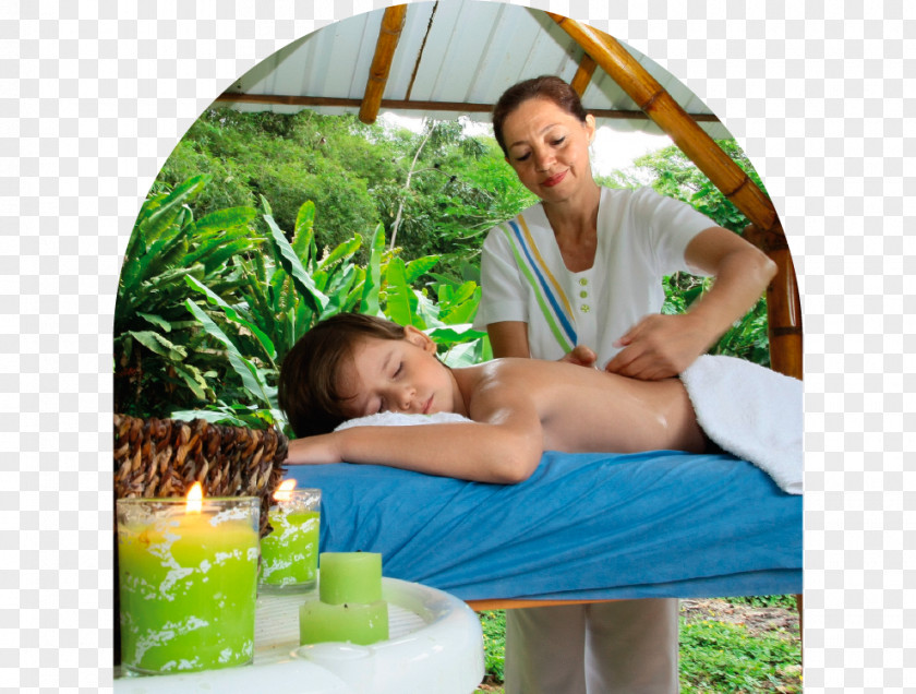 Nature Kids Natural Image Center Of Aesthetic Medicine And Spa Massage Day Beauty PNG