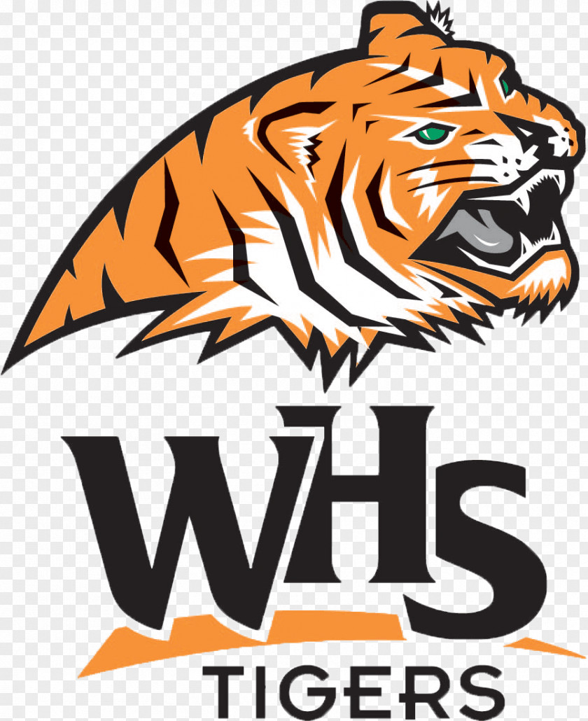 Tiger Woodlake High School National Secondary University Of Memphis PNG