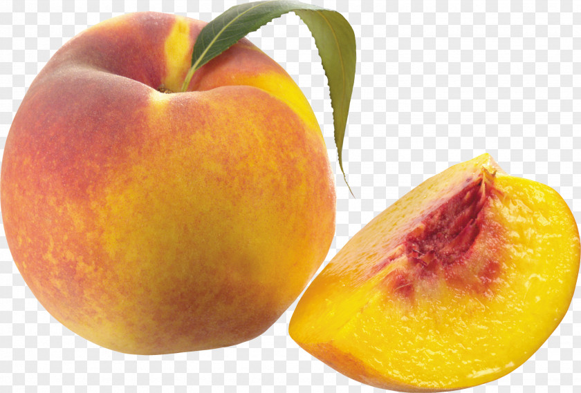 Apricot Peach Fruit Apple PNG