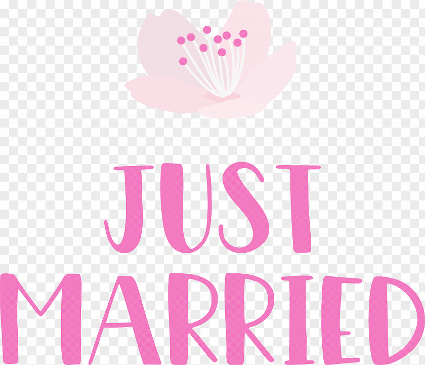 Just Married Wedding PNG