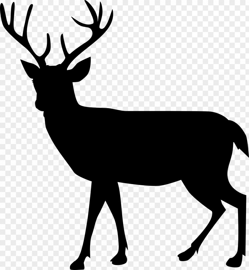 Reindeer Moose Silhouette Illustration PNG