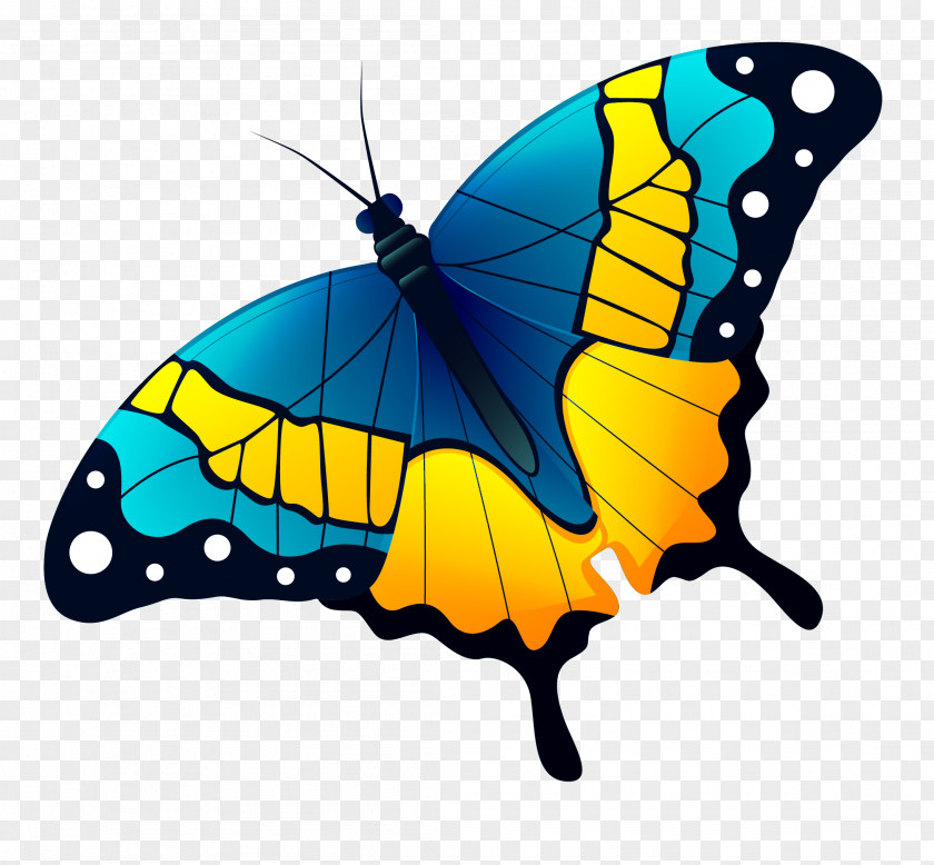 Vector Hand Painted Blue Butterfly Monarch Graphic Design PNG