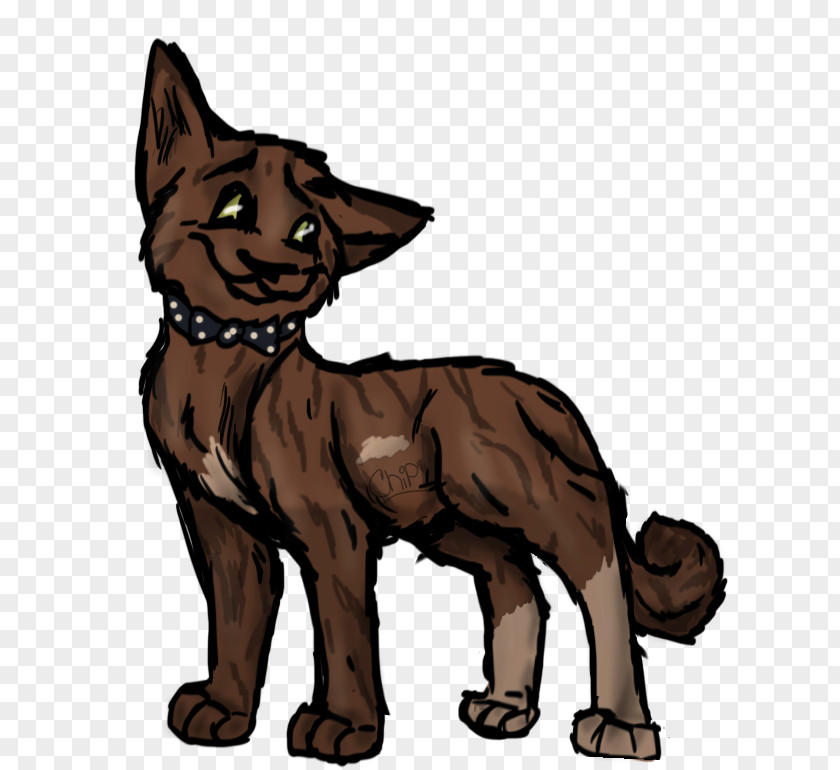 Cat Dog Breed Red Fox Tail PNG