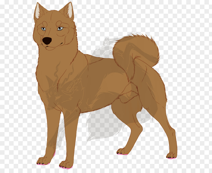 Dog Breed Finnish Spitz Dhole Fur PNG