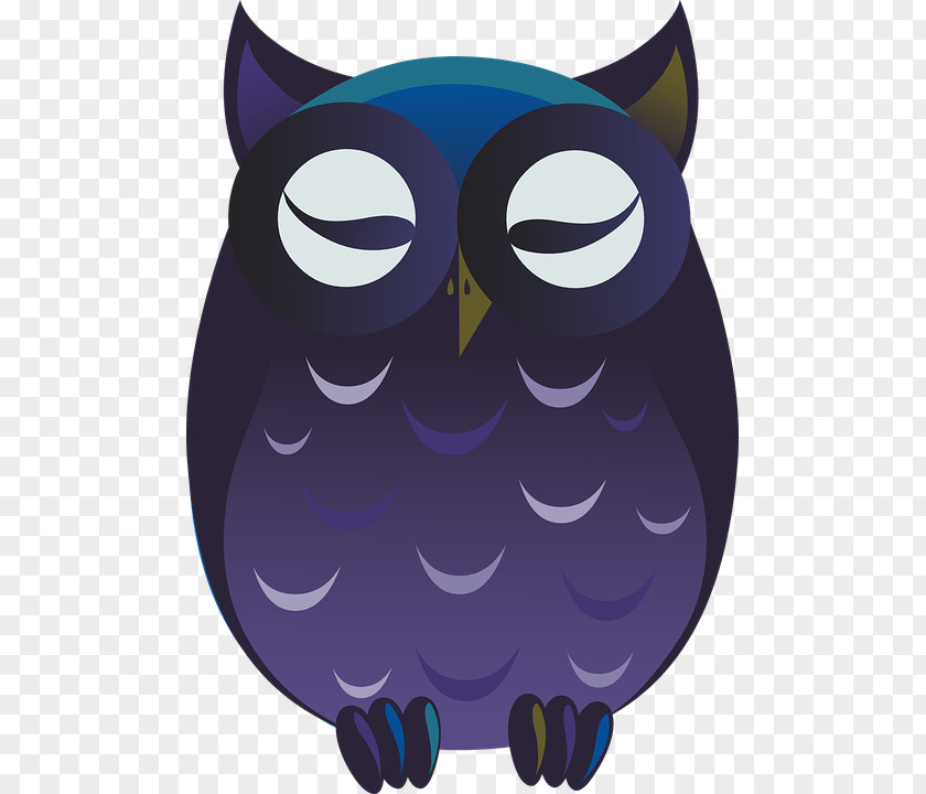 Eulelila Owl Bird Cartoon Clip Art PNG