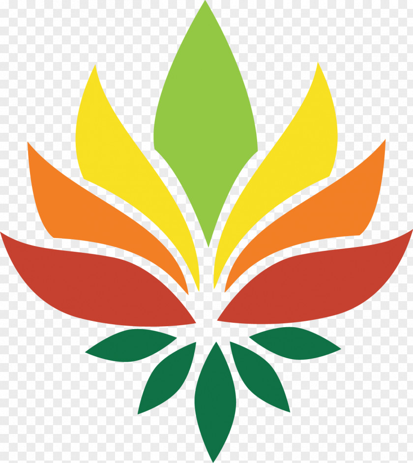 Lotus Leaves Nelumbo Nucifera National Symbols Of India Pattern PNG
