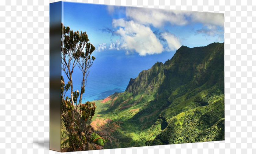 Mount Scenery Kalalau Valley Kōkeʻe State Park Gallery Wrap National PNG