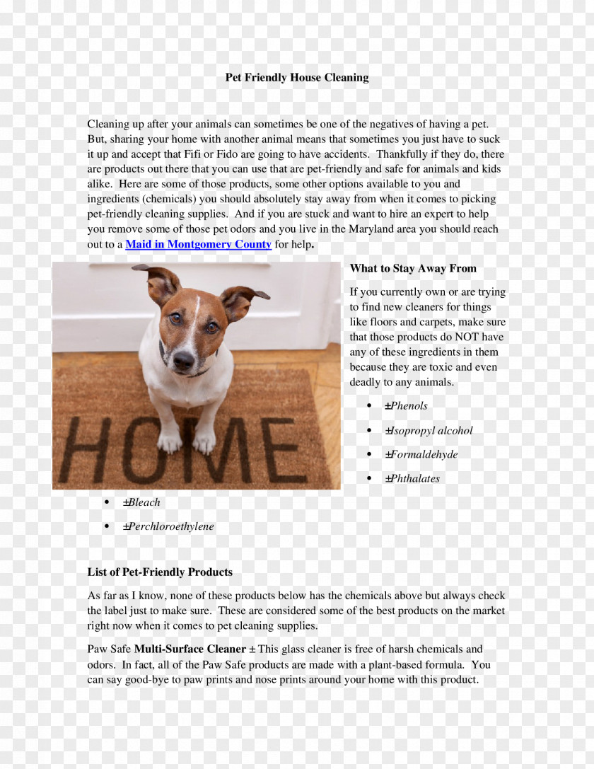 Paw Print Jack Russell Terrier Text Photography Snout Magnettafel PNG