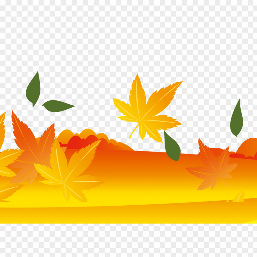 Autumn Leaves Maple Leaf Yellow PNG