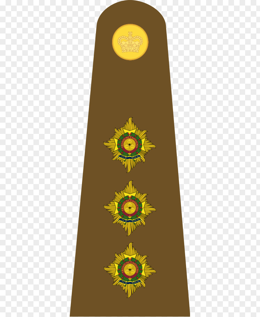 British Army Military Rank Lieutenant Colonel Officer PNG