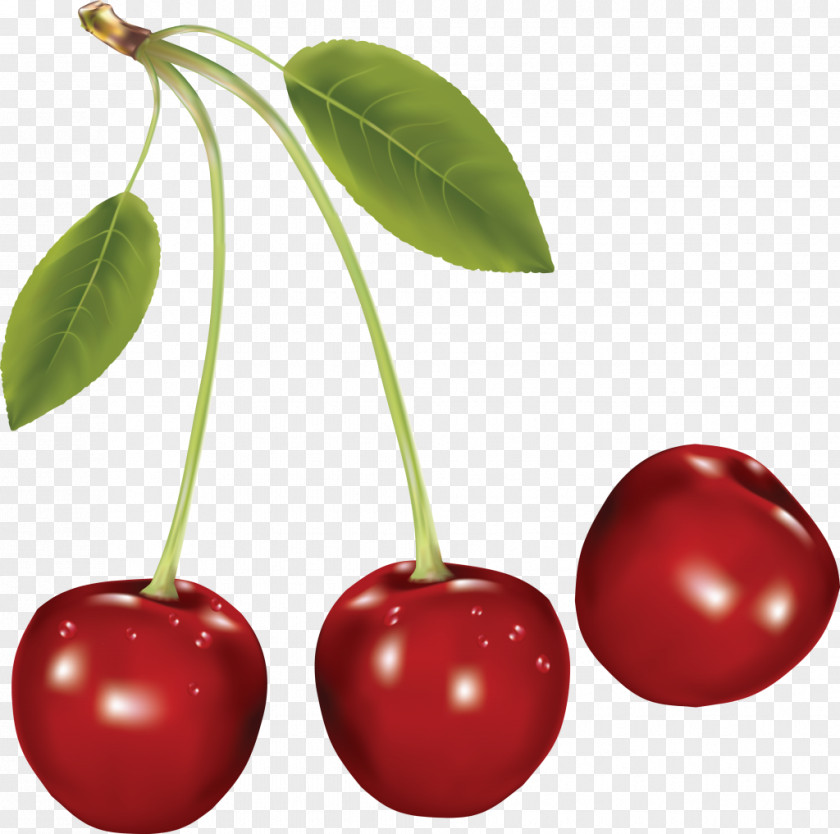 Cherry Download Fruit Clip Art PNG