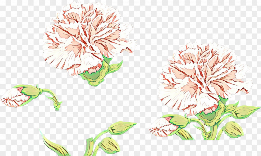 Chrysanthemum Floral Design Drawing Cut Flowers Illustration PNG